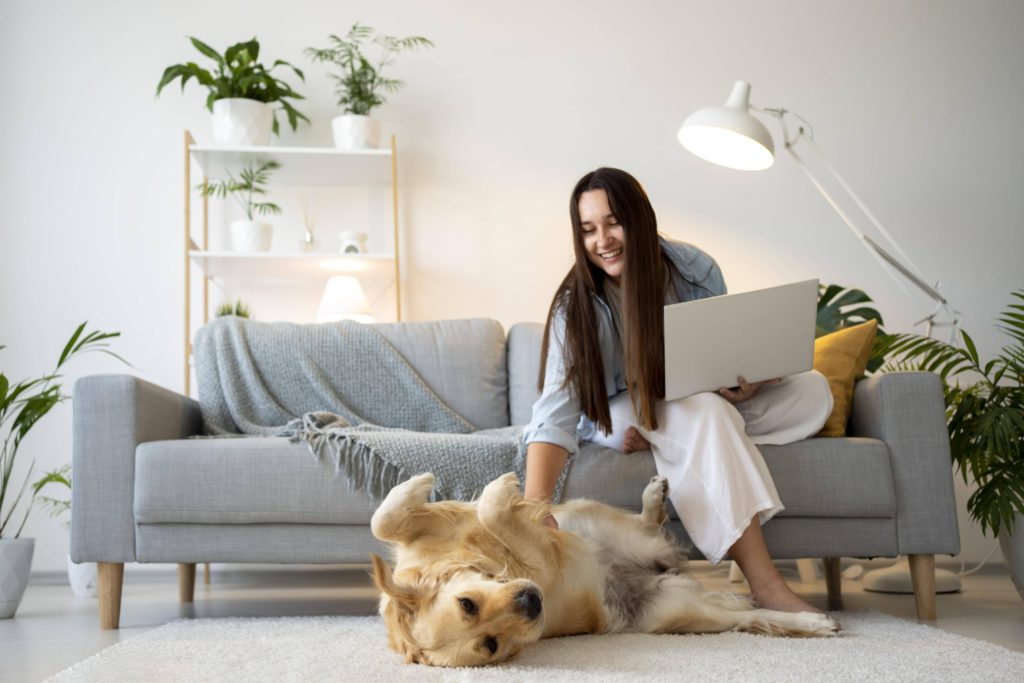 How to choose the perfect pet sitter